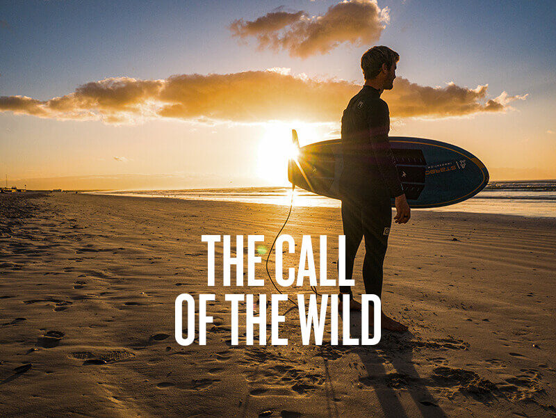Zane Schweitzer Zane Schweitzer - The Call of the Wild - Foiling